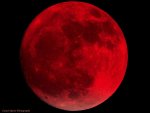 the-blood-red-moon-of-pratt-kansas-2014-jack-martin.jpg